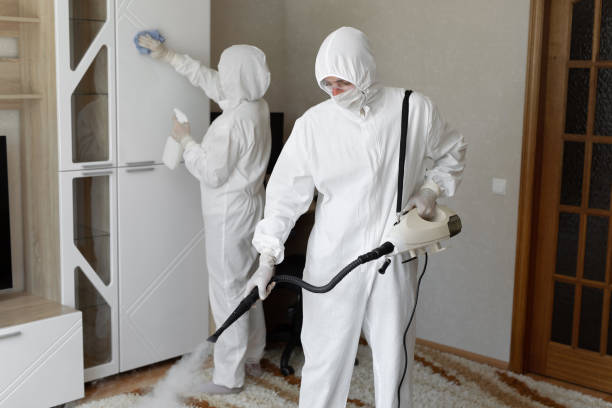 Affordable Infectious Disease Decontamination solutions in Sunnyside, GA